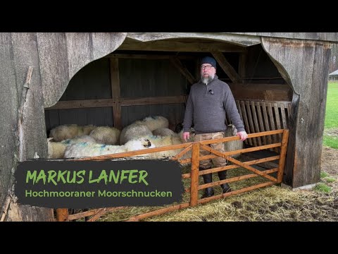 Markus Lanfer, Hochmooraner Moorschnucken (Partnerbetrieb im Münsterland) | Was ist es dir wert?